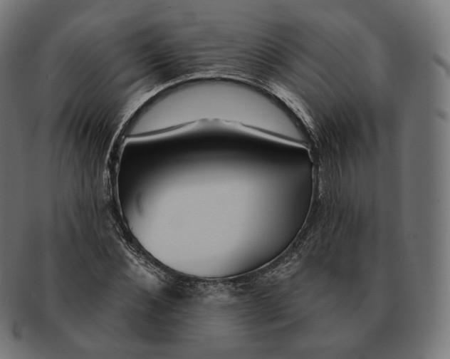 X0000091720876200709210959