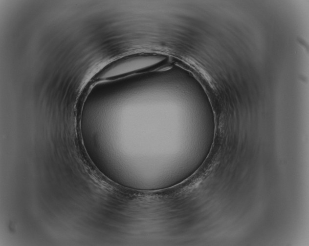 X0000091720877200709210958