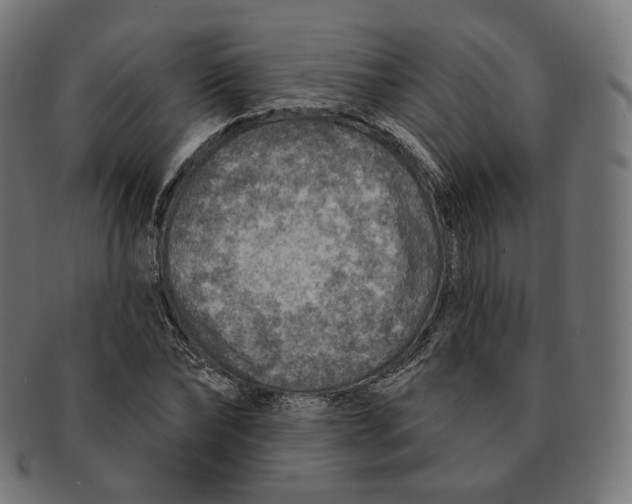 X0000091720878200709210958