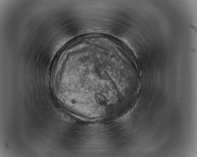 X0000091720879200709210958