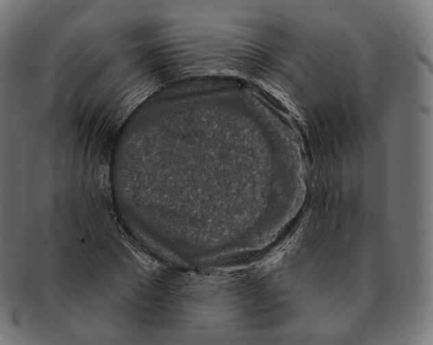 X0000091720881200709210958