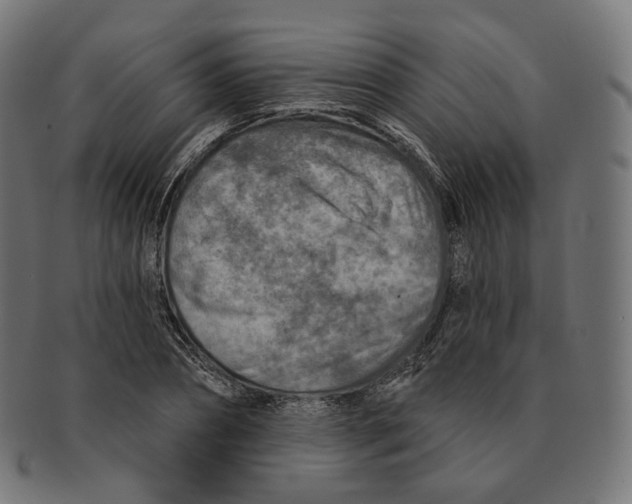 X0000091720882200709210958