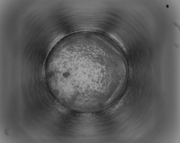 X0000091720883200709210958