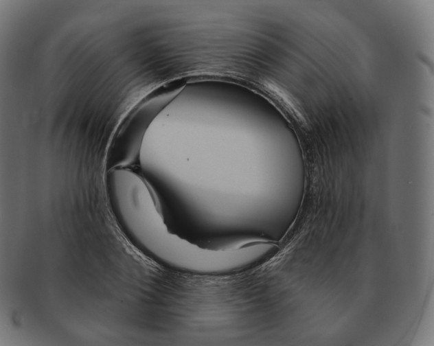 X0000091720884200709210958