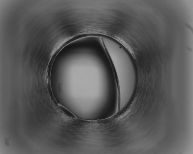 X0000091720885200709210958