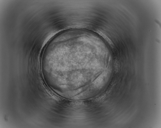 X0000091720886200709210958