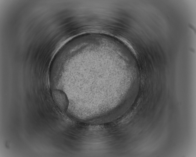 X0000091720887200709210958