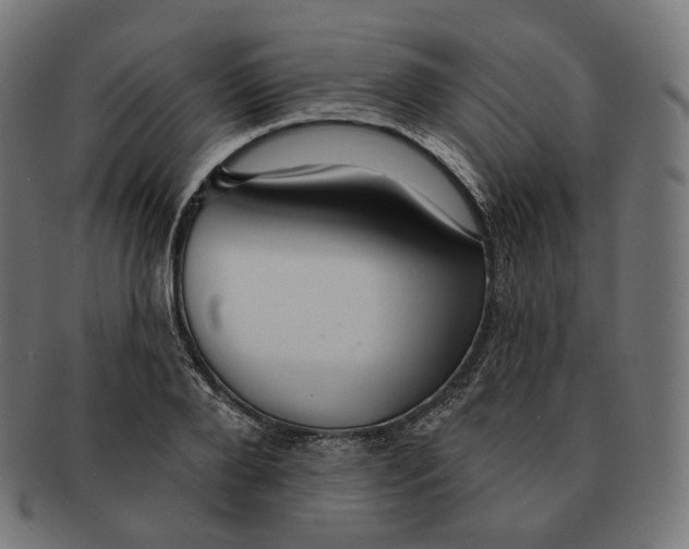 X0000091720888200709210958