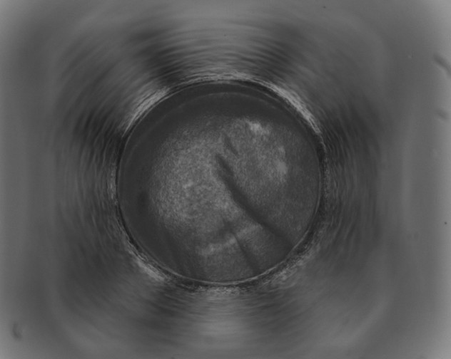 X0000091720889200709210958