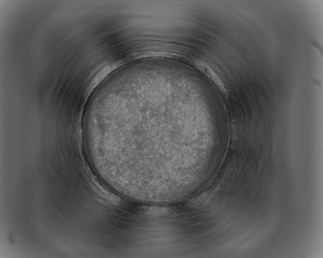 X0000091720890200709210958