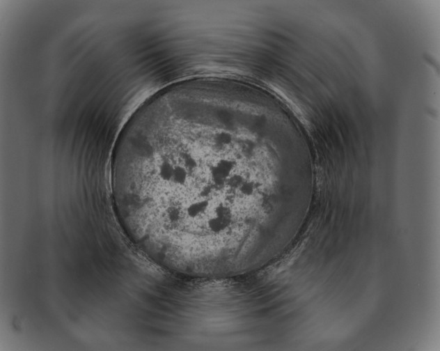 X0000091720891200709210958