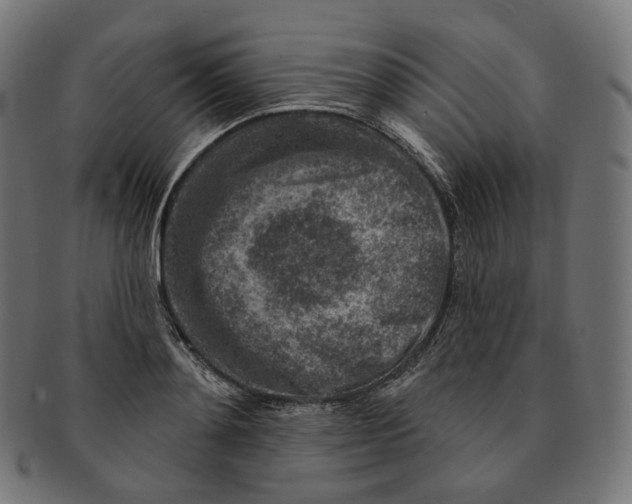 X0000091720892200709210958