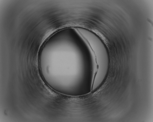 X0000091720894200709210958