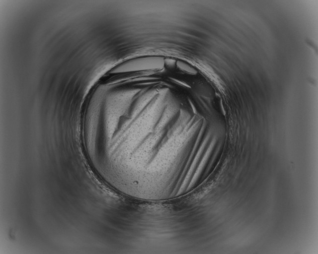 X0000091720896200709210958