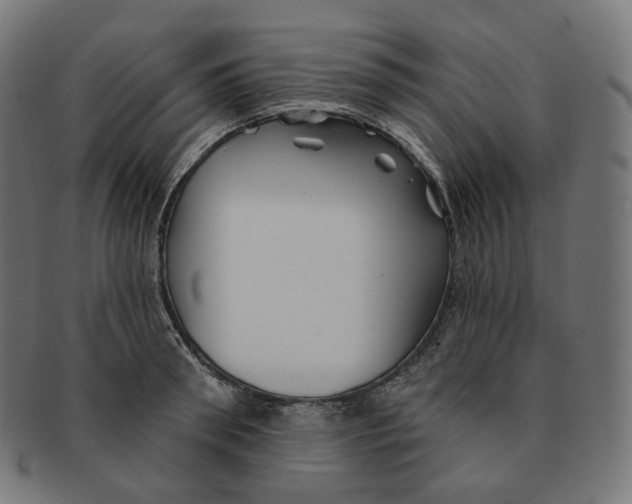 X0000091720898200709210958