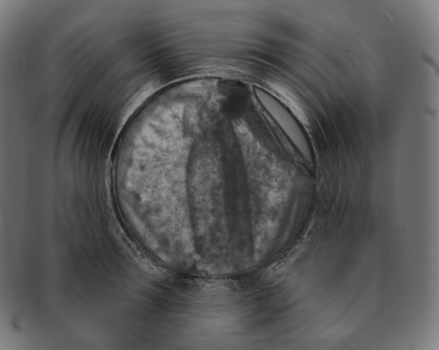 X0000091720899200709210958