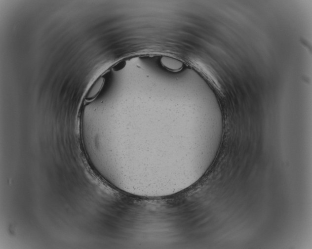 X0000091720900200709210958