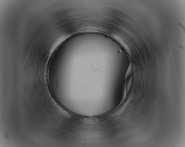 X0000091720901200709210958