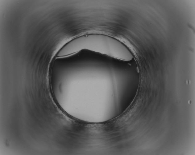 X0000091720902200709210958