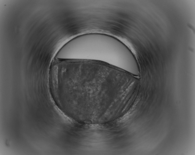 X0000091720903200709210958