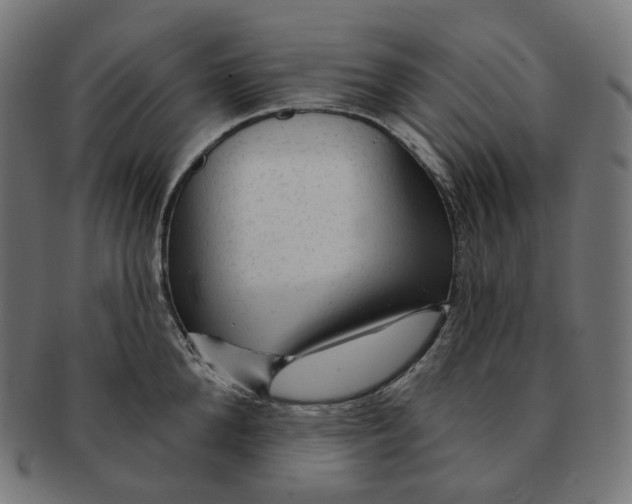 X0000091720904200709210958