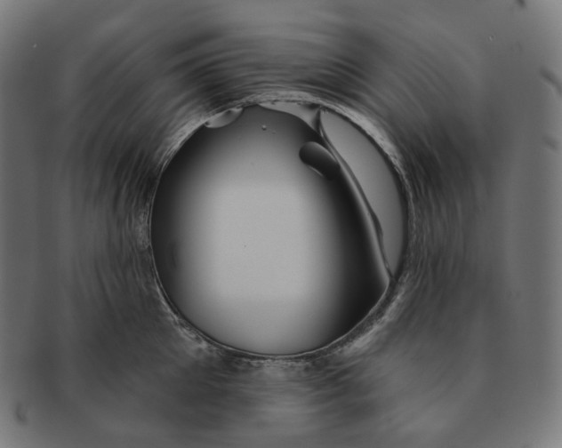 X0000091720905200709210958