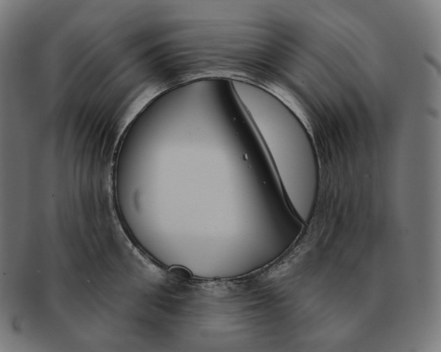 X0000091720906200709210958