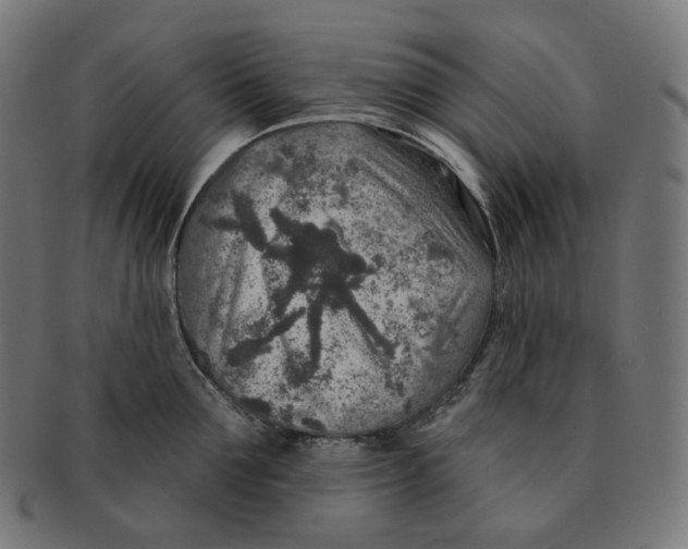 X0000091720907200709210958