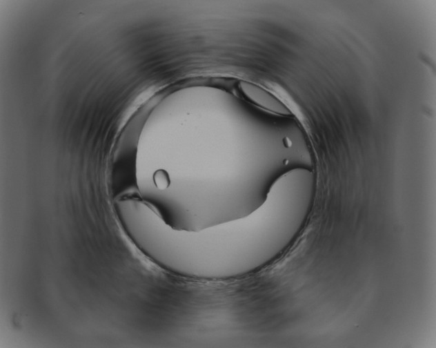 X0000091720909200709210958