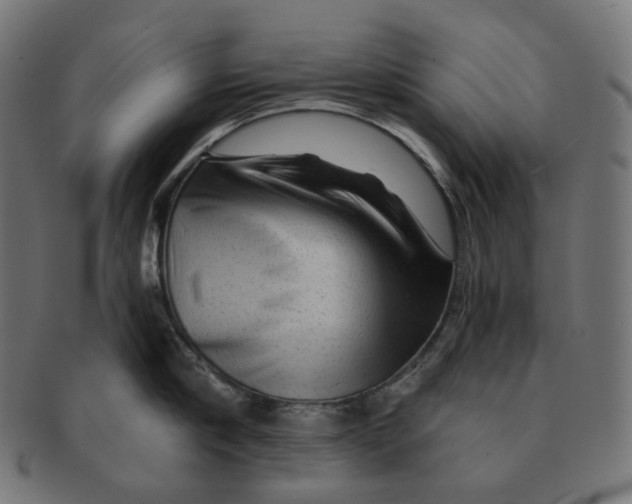 X0000091720910200709210958