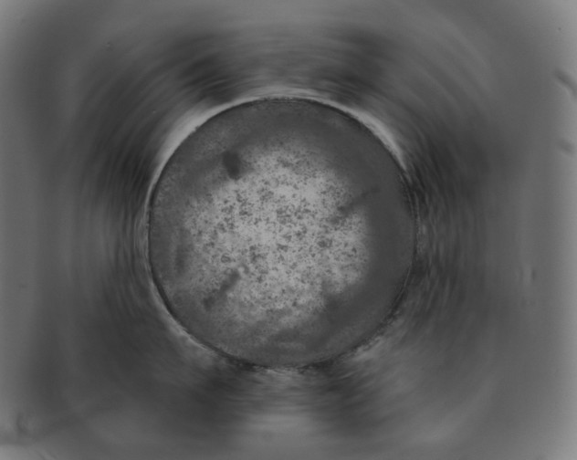 X0000091720911200709210958