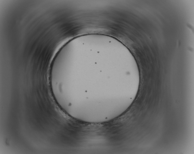 X0000091720912200709210958