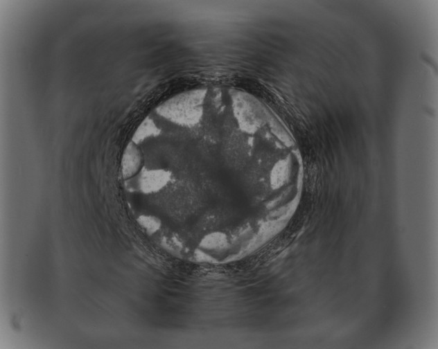 X0000091720913200709210958