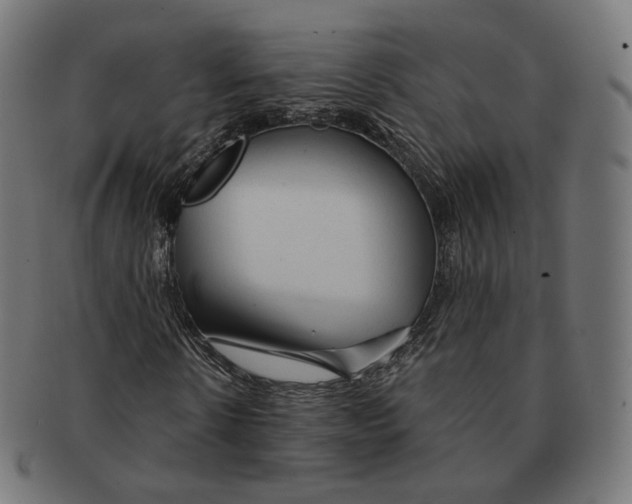 X0000091720914200709210958