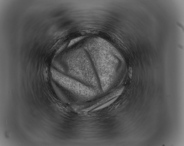 X0000091720915200709210958