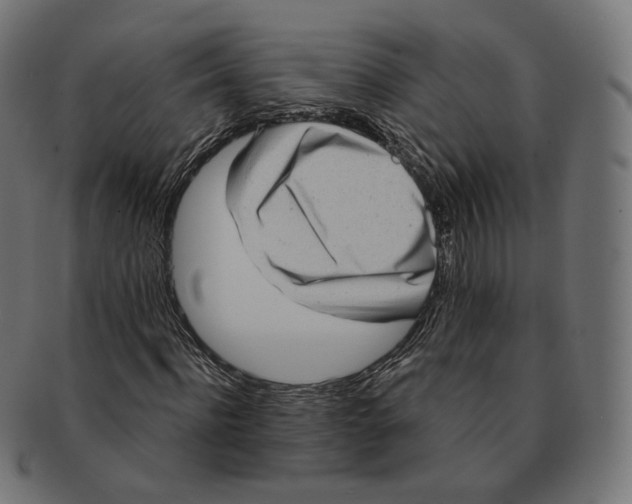 X0000091720916200709210958