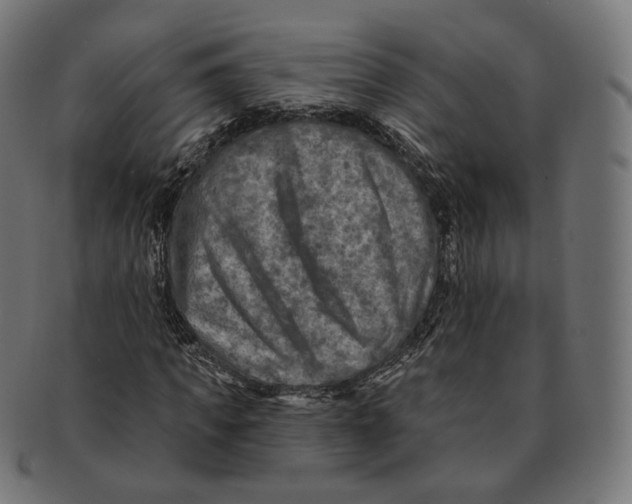 X0000091720917200709210958