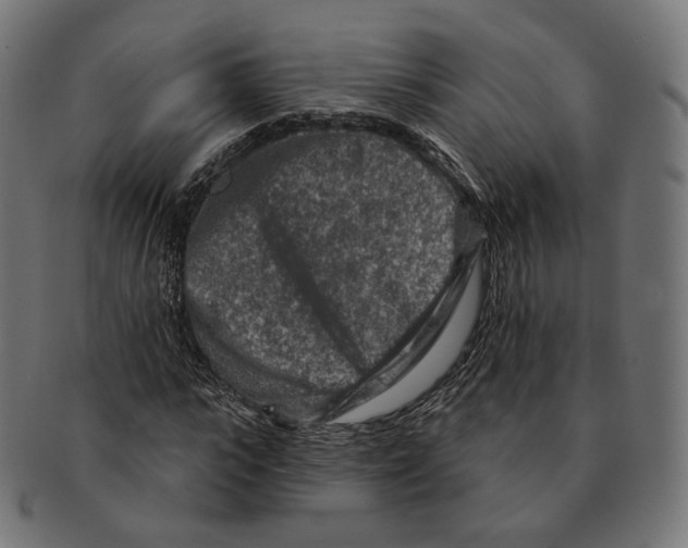 X0000091720919200709210958