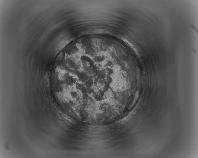 X0000091720921200709210958