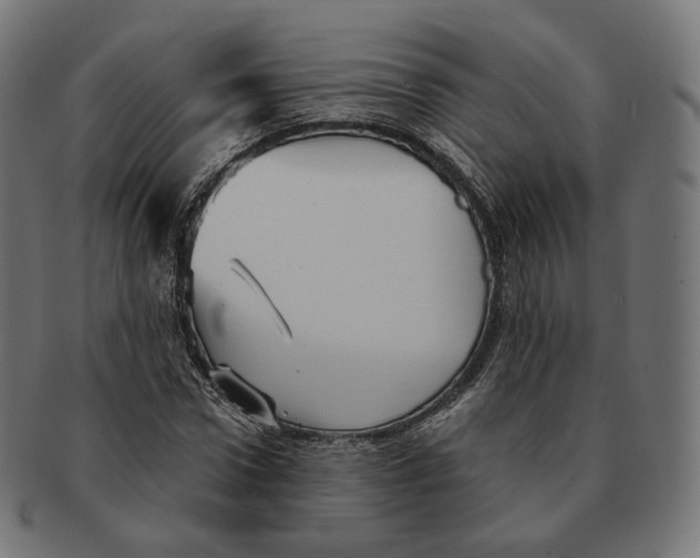 X0000091720922200709210958