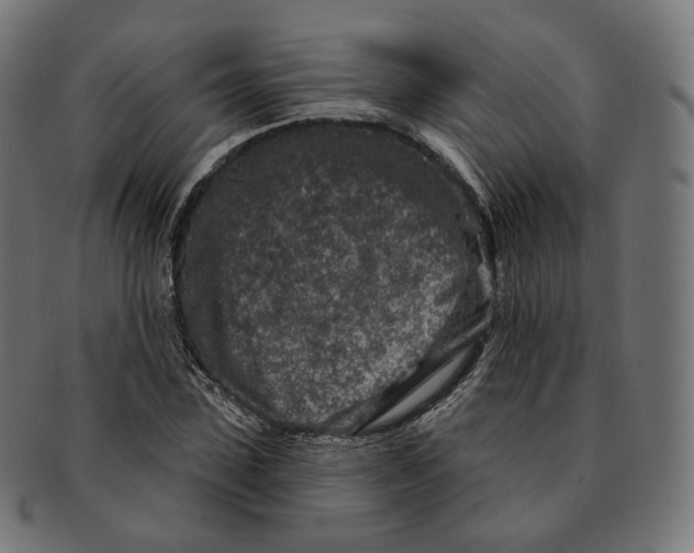 X0000091720923200709210958