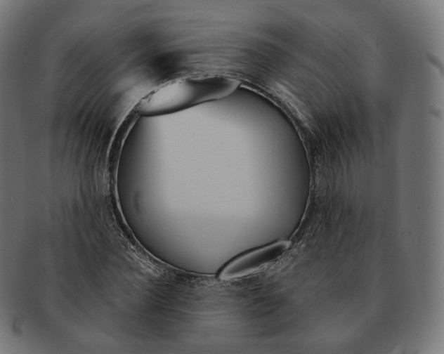 X0000091720924200709210958