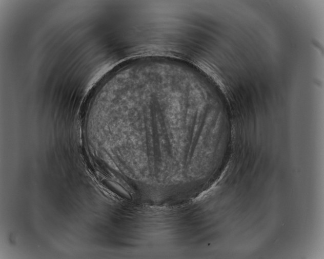 X0000091720925200709210958