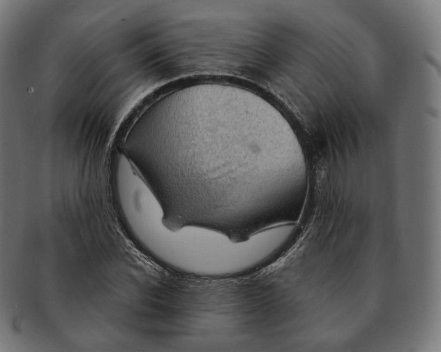 X0000091720926200709210958