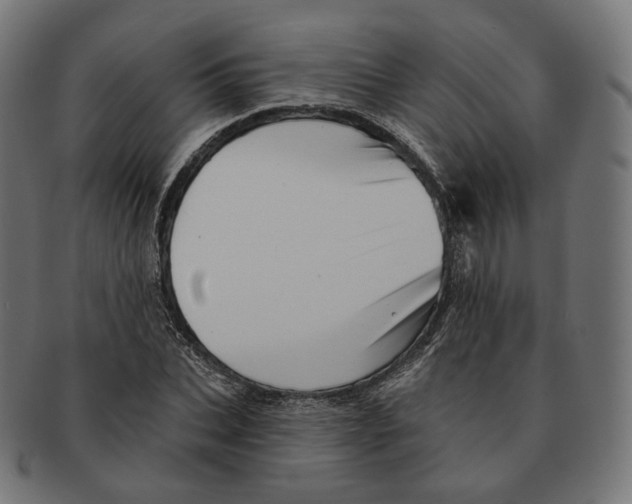 X0000091720927200709210958