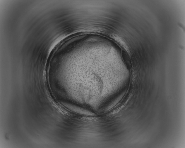 X0000091720928200709210958