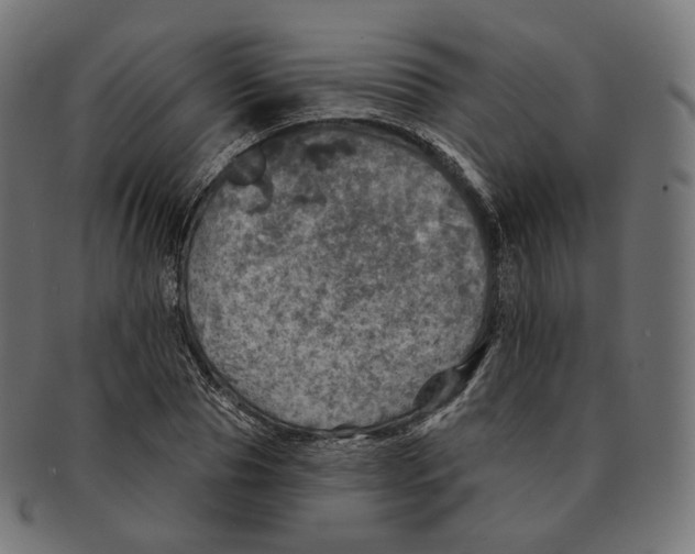 X0000091720929200709210958