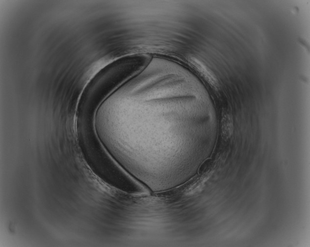 X0000091720932200709210958