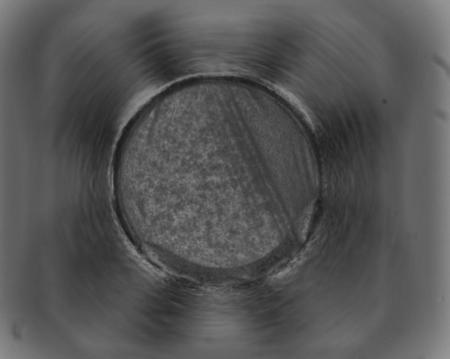 X0000091720935200709210958