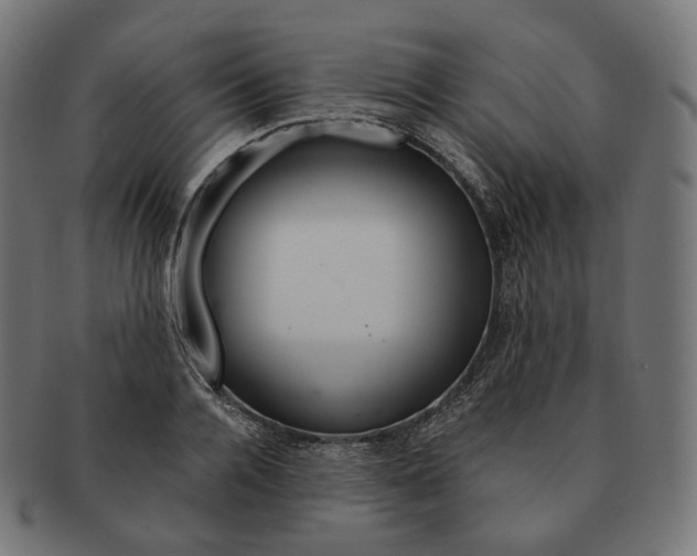 X0000091720936200709210958